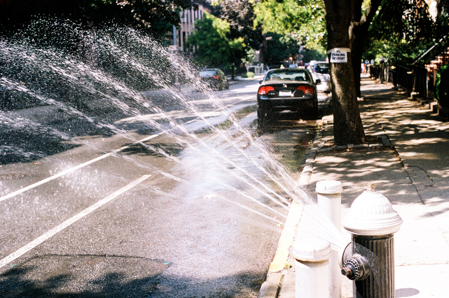 fire hydrant.jpg