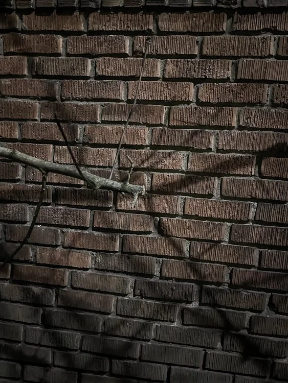 irretrievably broken 2022
