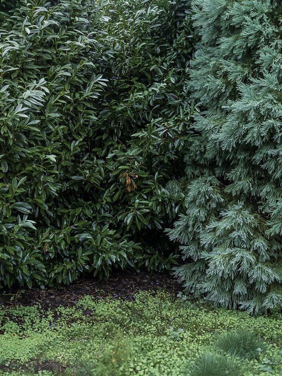   a small home made  2021 