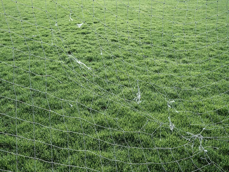   non-lethal tactics  2021 