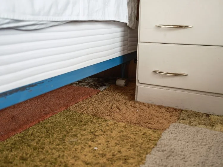   really quiet - very quiet  2022 