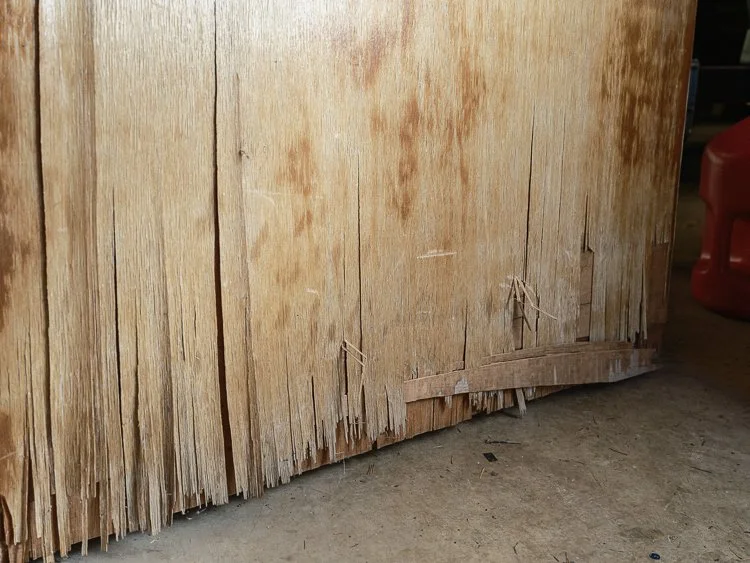   fired, at least once  2022 