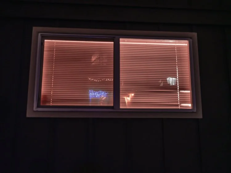   how many of what  2021 