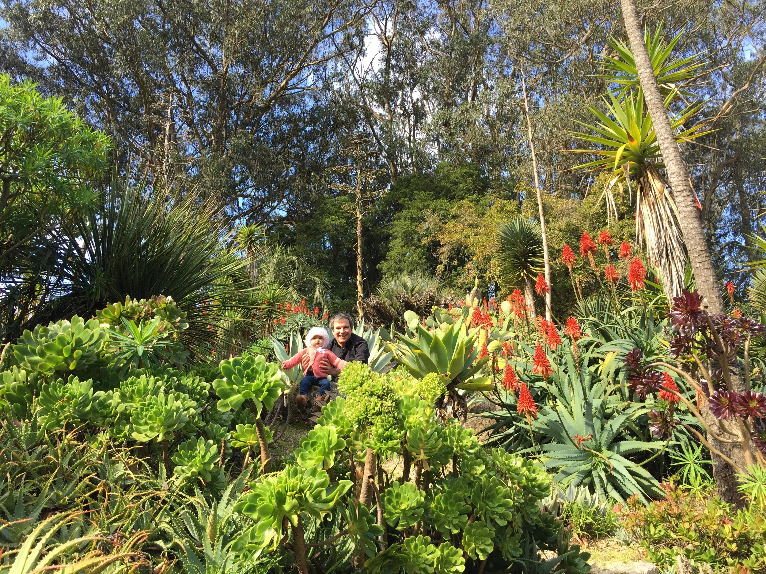 Getting our dose of succulents at the San Francisco Botanical Garden