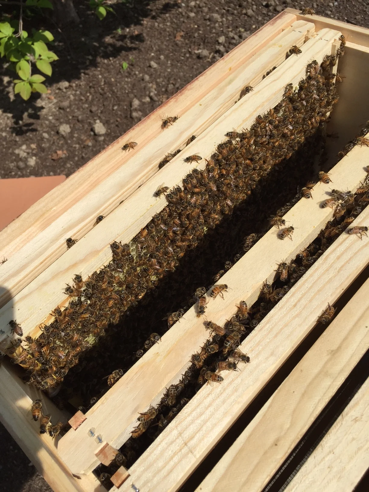 5 day check-in; they're happy!