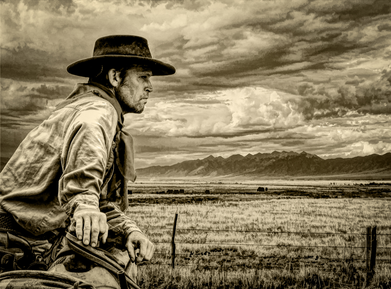 cowboy-on-the-range.jpg