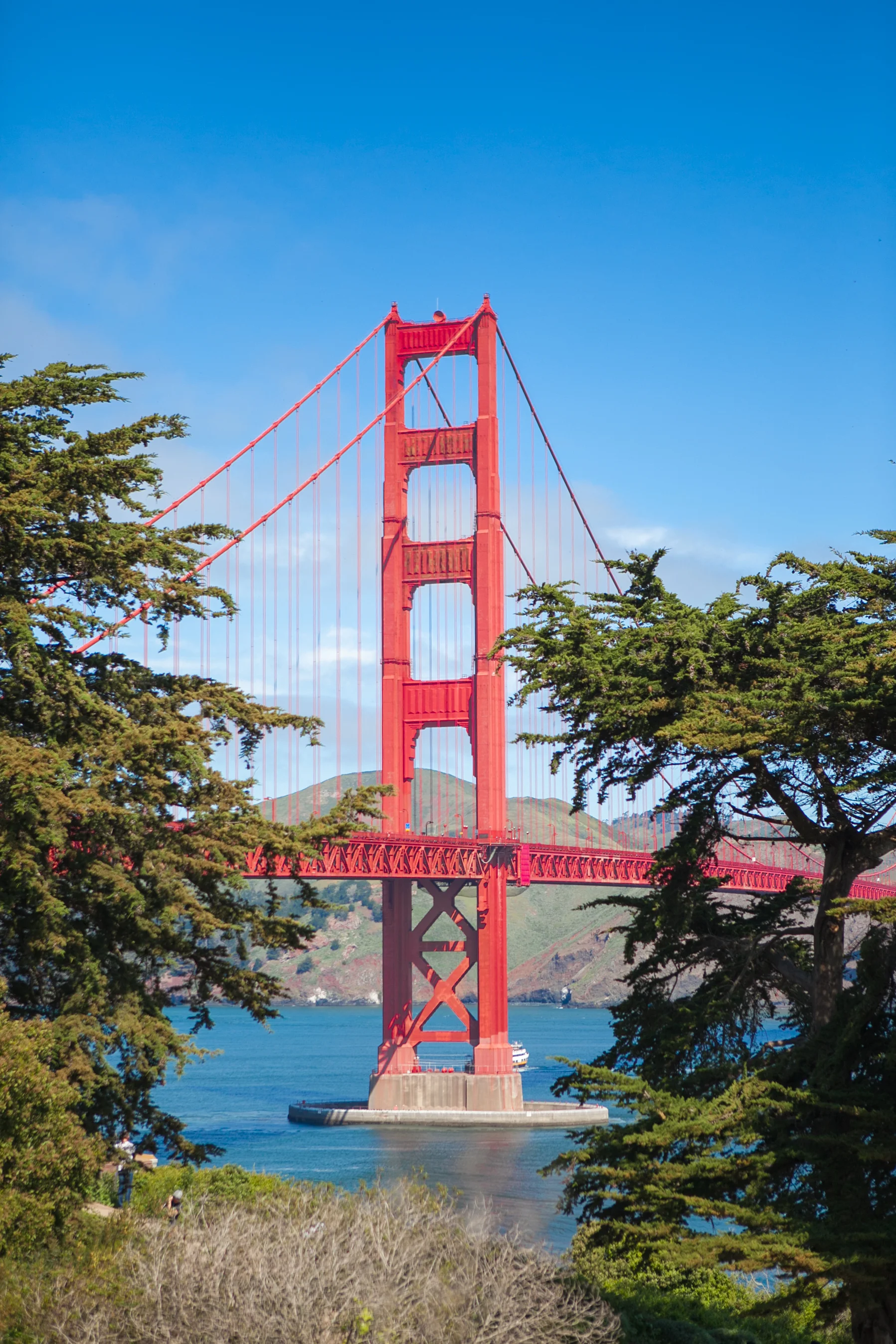 SanFranciscoApr2016-7503.jpg