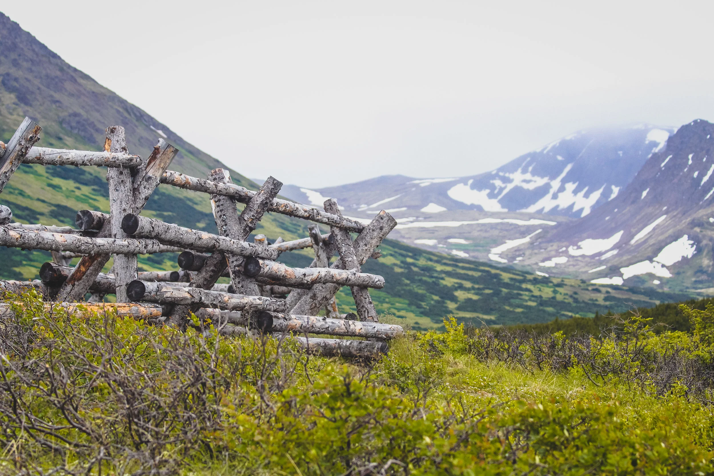 Alaskaaa2016-2099.jpg