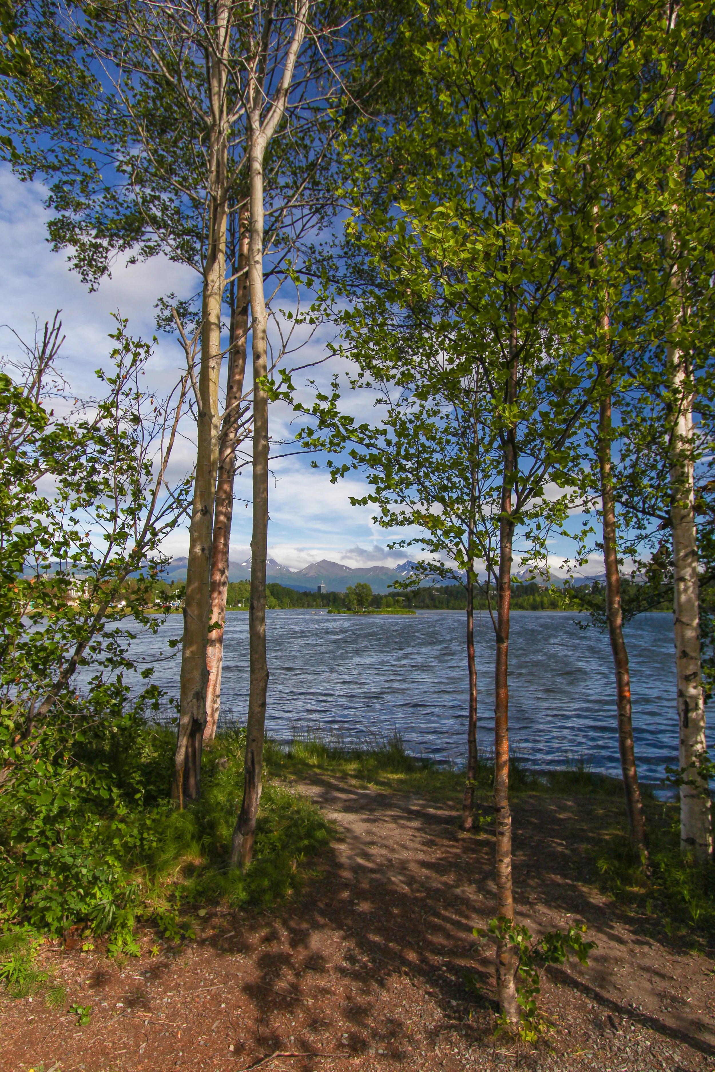 Alaskaaa2016-2037.jpg