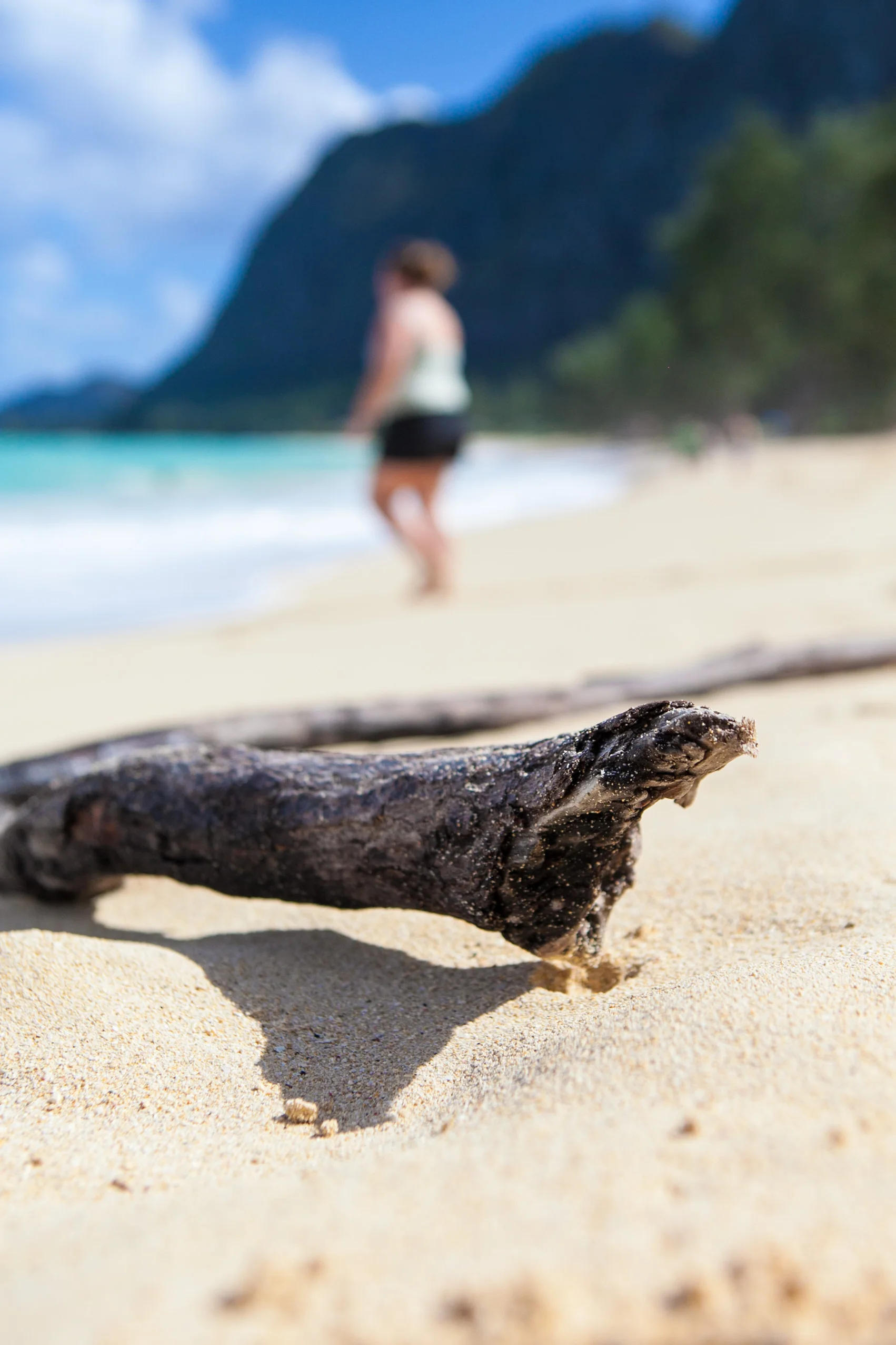 Hawaii-5795.jpg