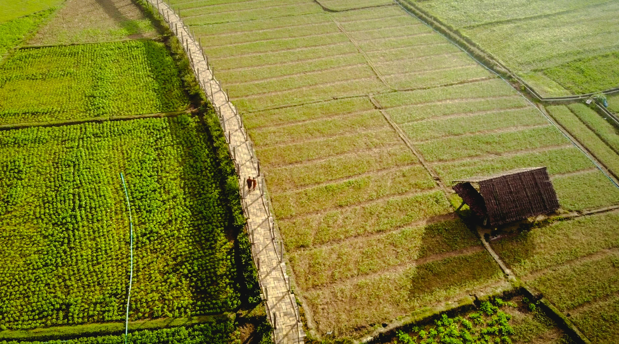 LocalTravelerThailand--4.jpg