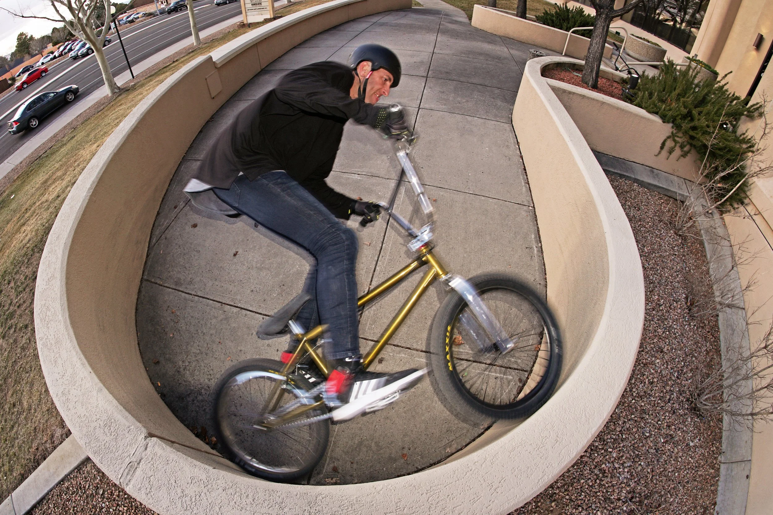  Steve Woodward Albuquerque, New Mexico 