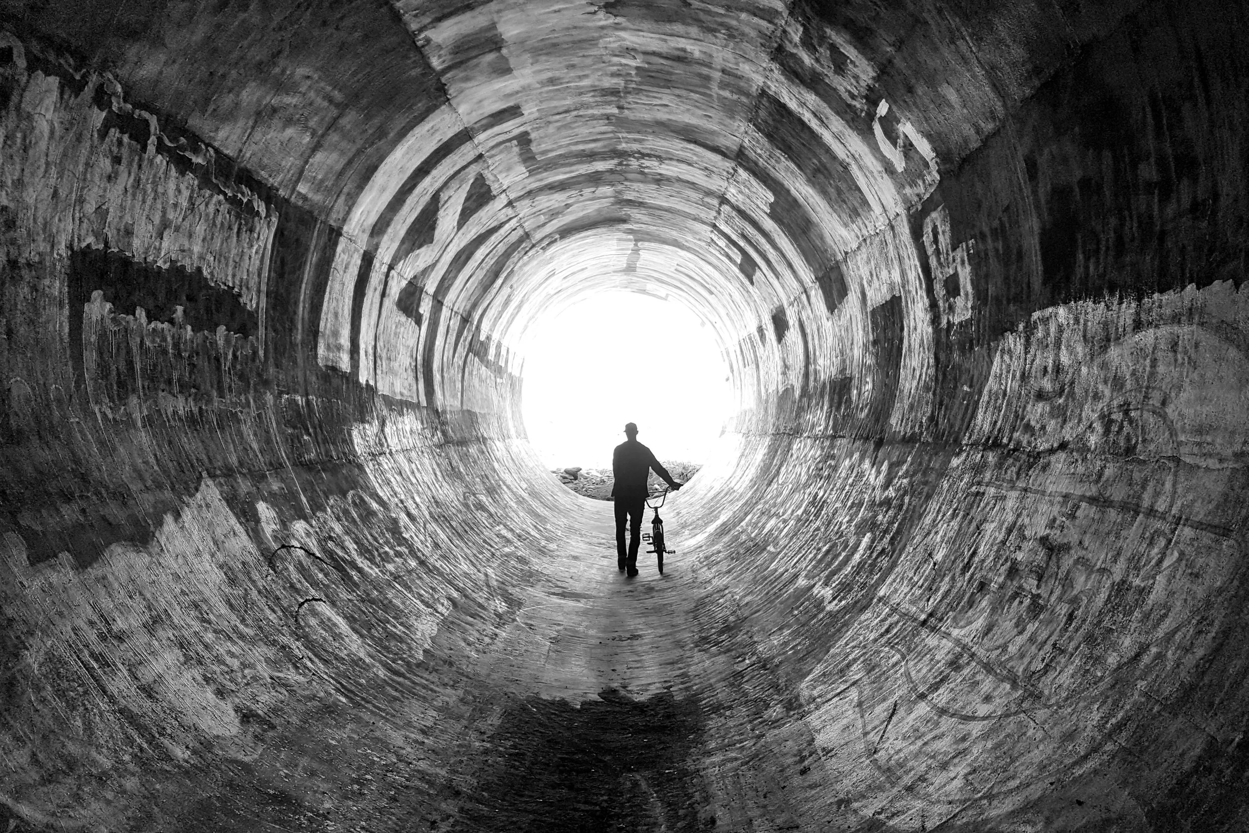  Steve Woodward Flagstaff, Arizona 