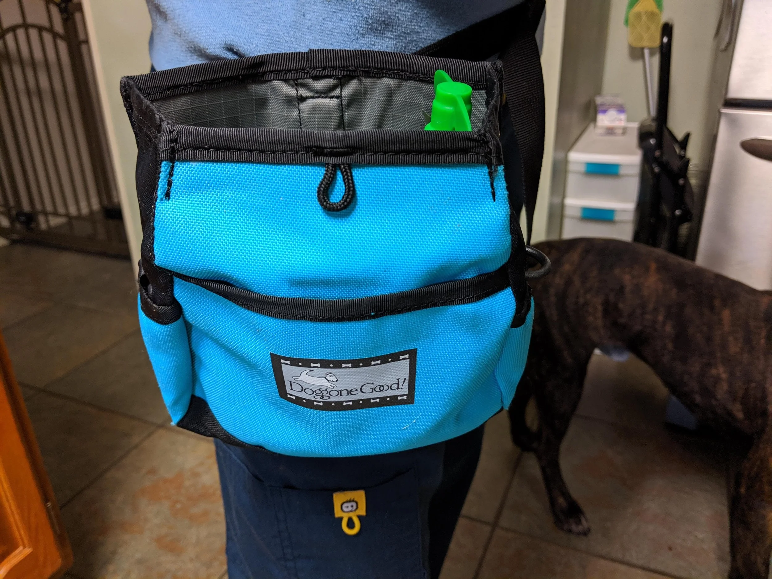4 Habits of Effective Dog Trainers