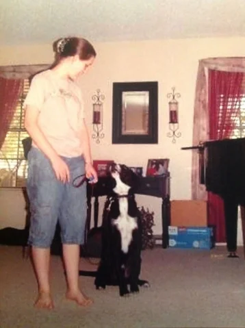 Rocky practicing Sit and Eye Contact at home.