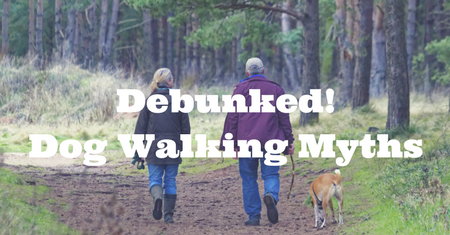 Debunked!Dog Walking Myths.png