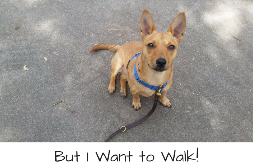 ButIWantToWalk.png