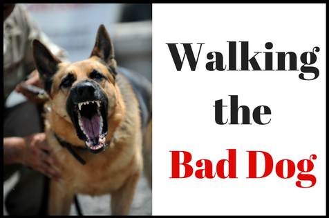 Bad Dog.png