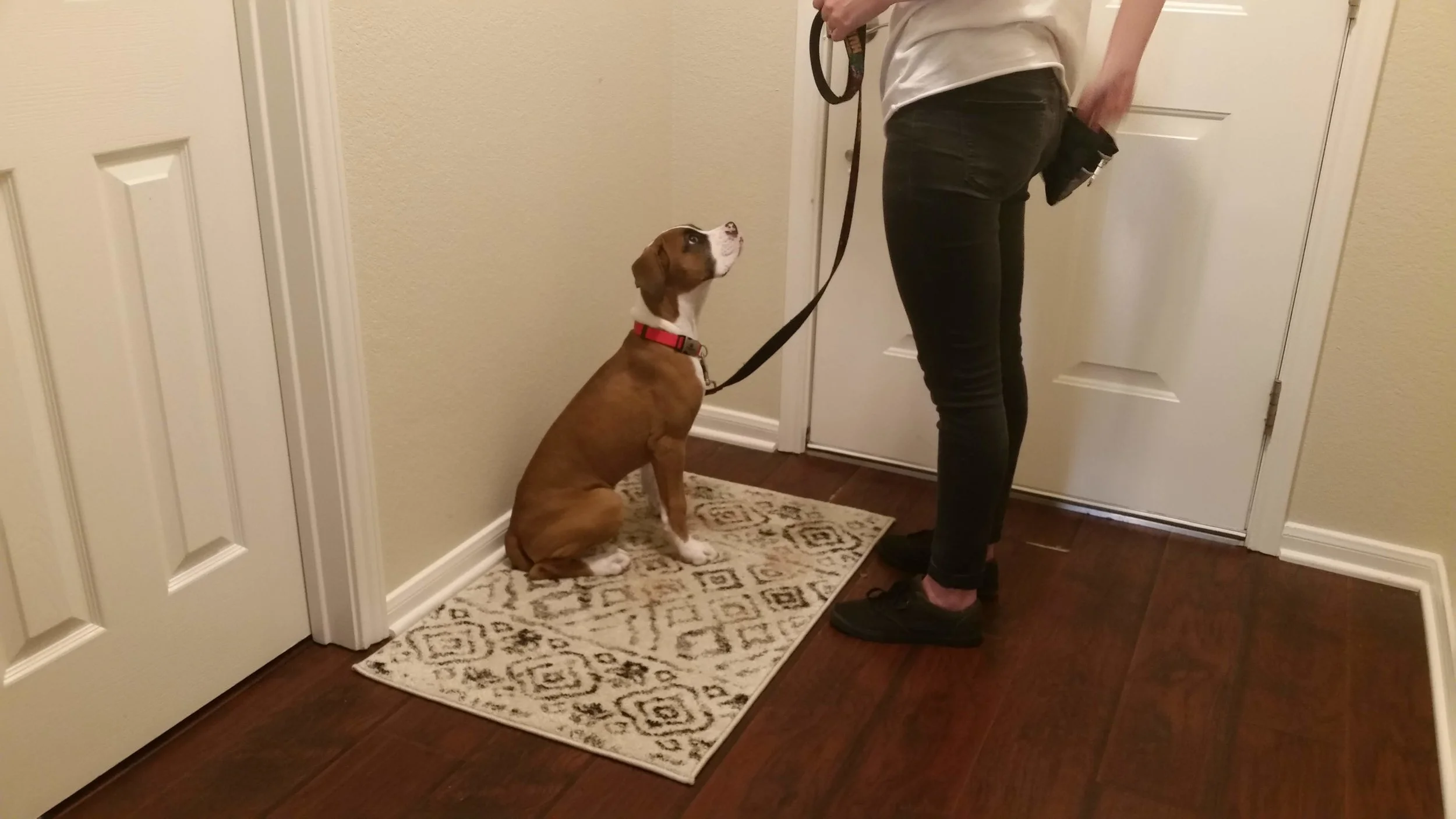 Calzy practices doorway safety