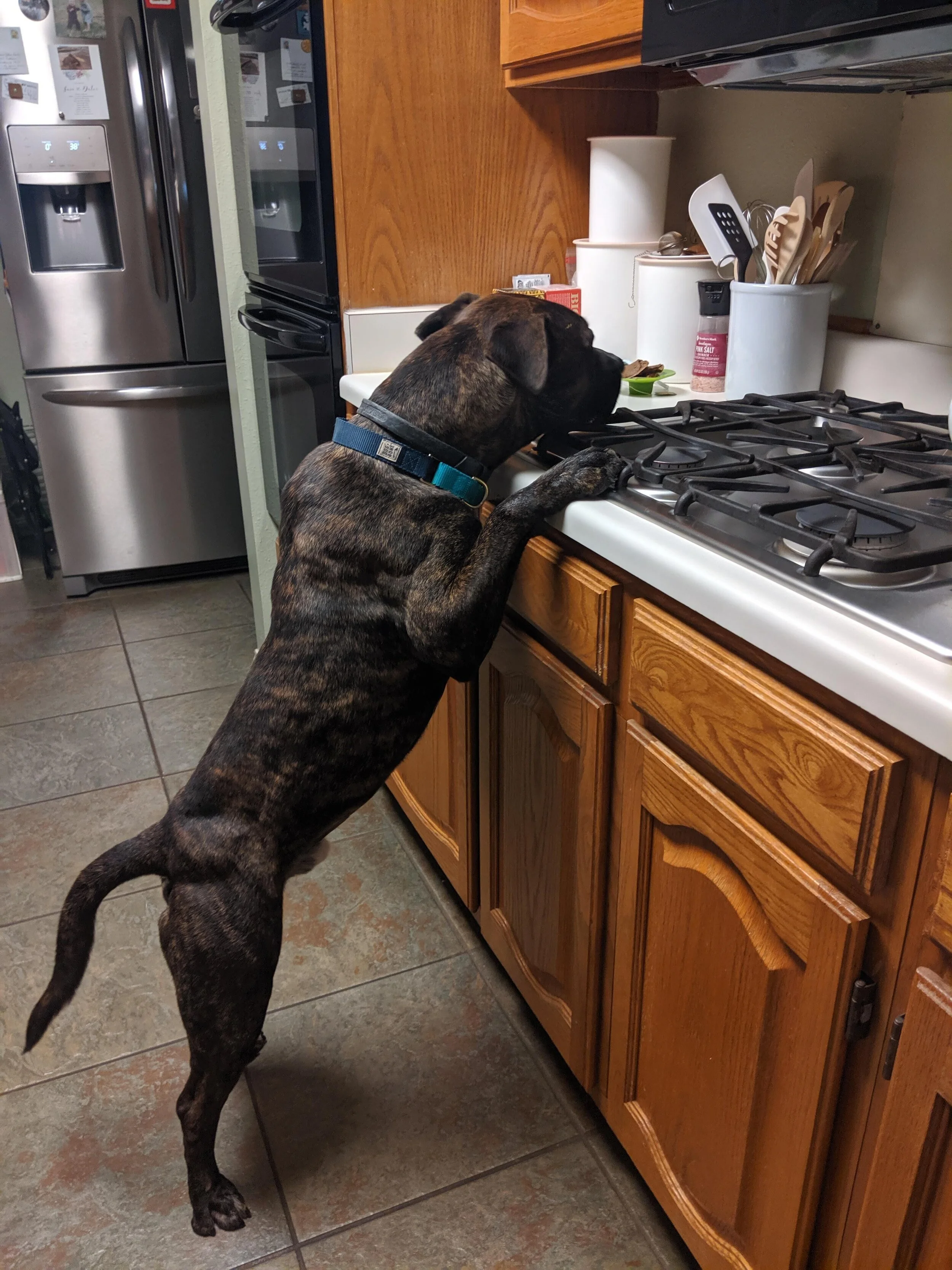 How to Fix Counter-Surfing