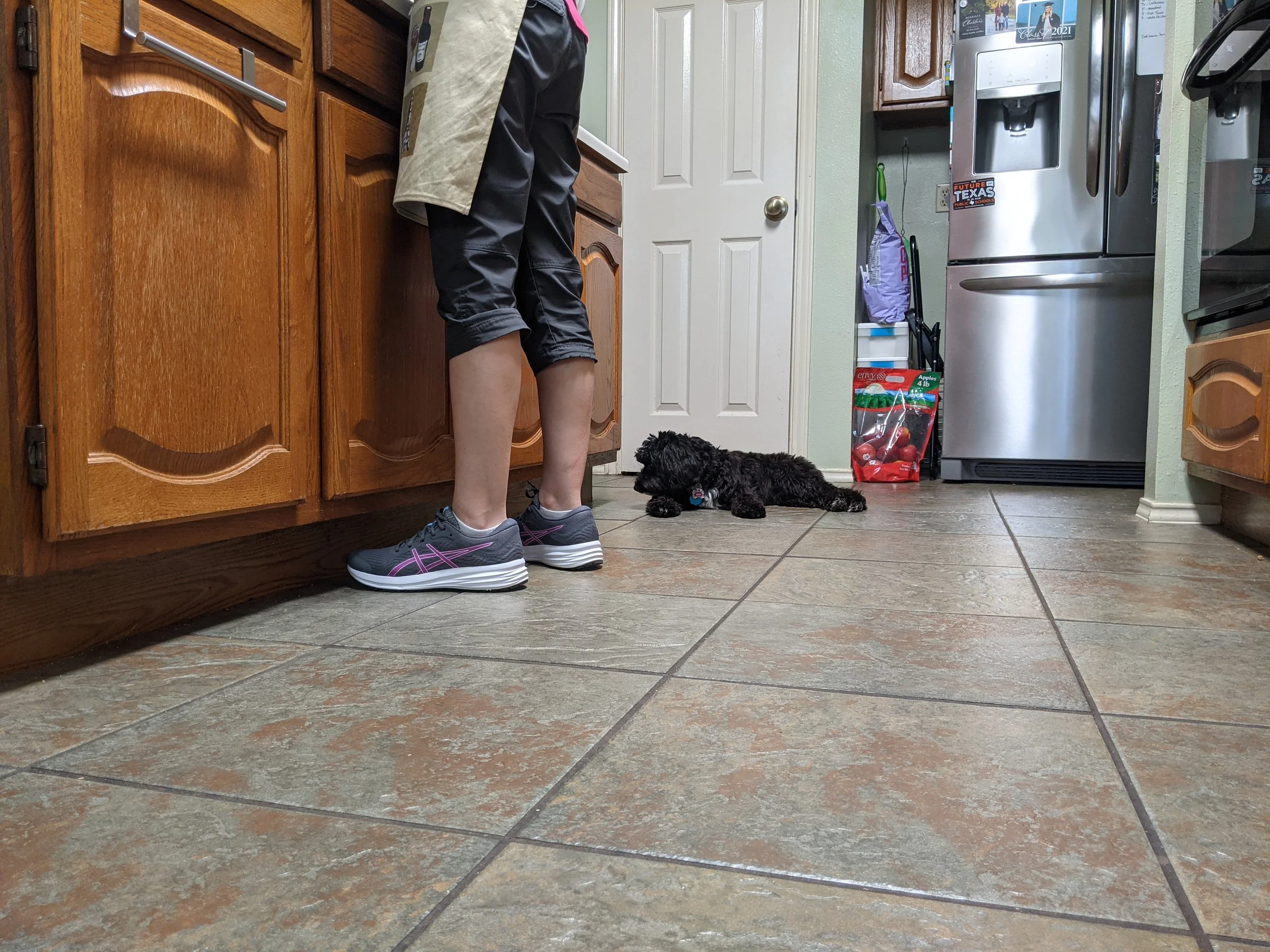 You don't have to be the ‘Pack Leader’ to have a well-behaved dog