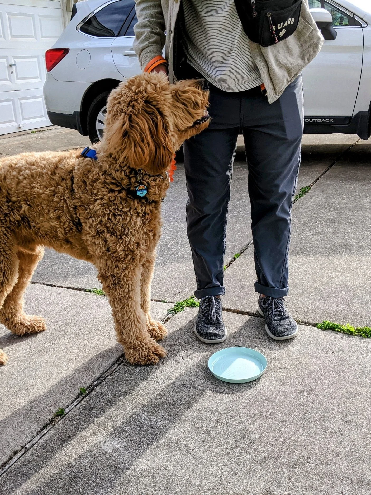 ZiggyDoodleDrivewayPlate.jpg