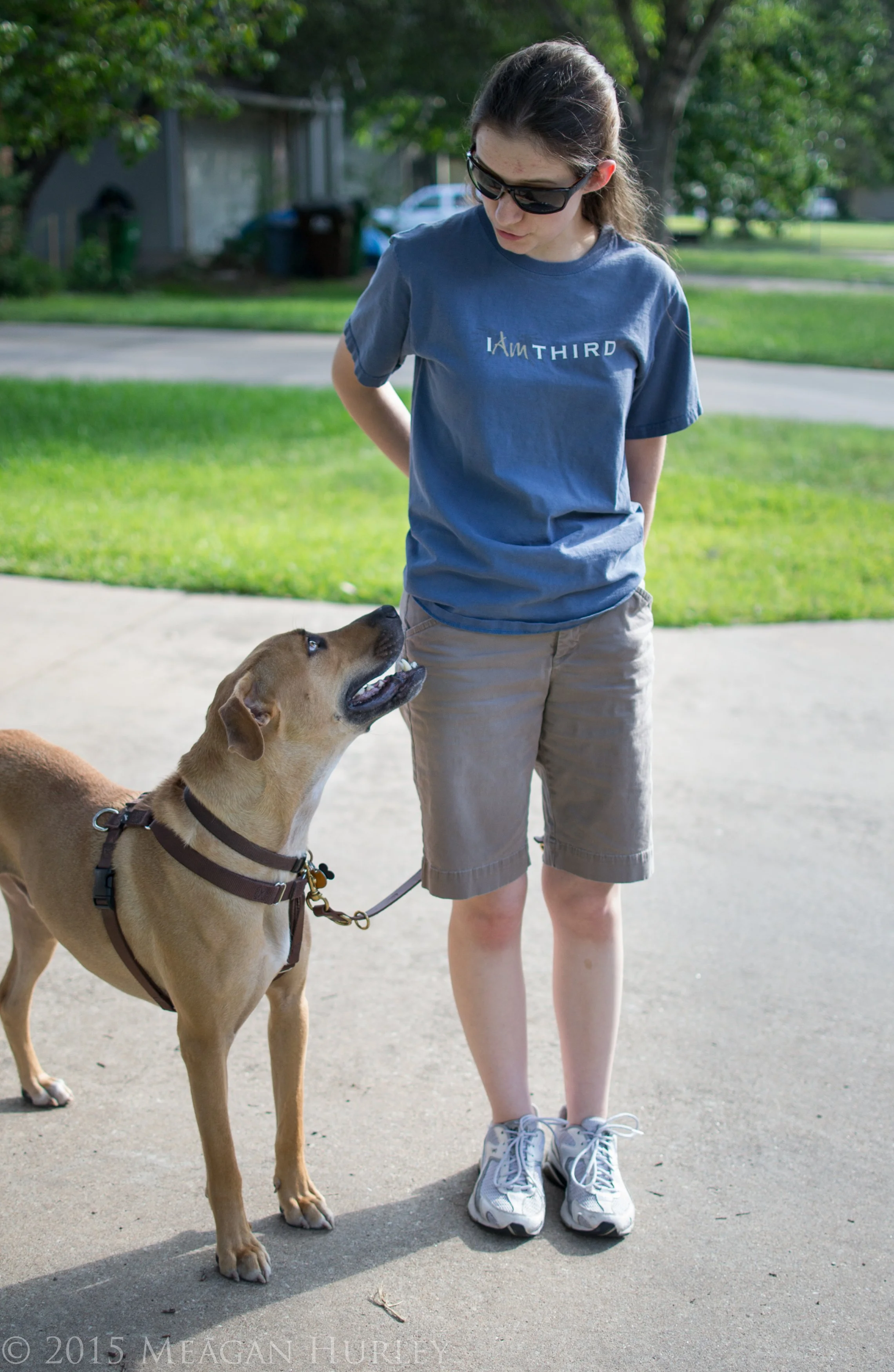 Frustration-free walks with the dog