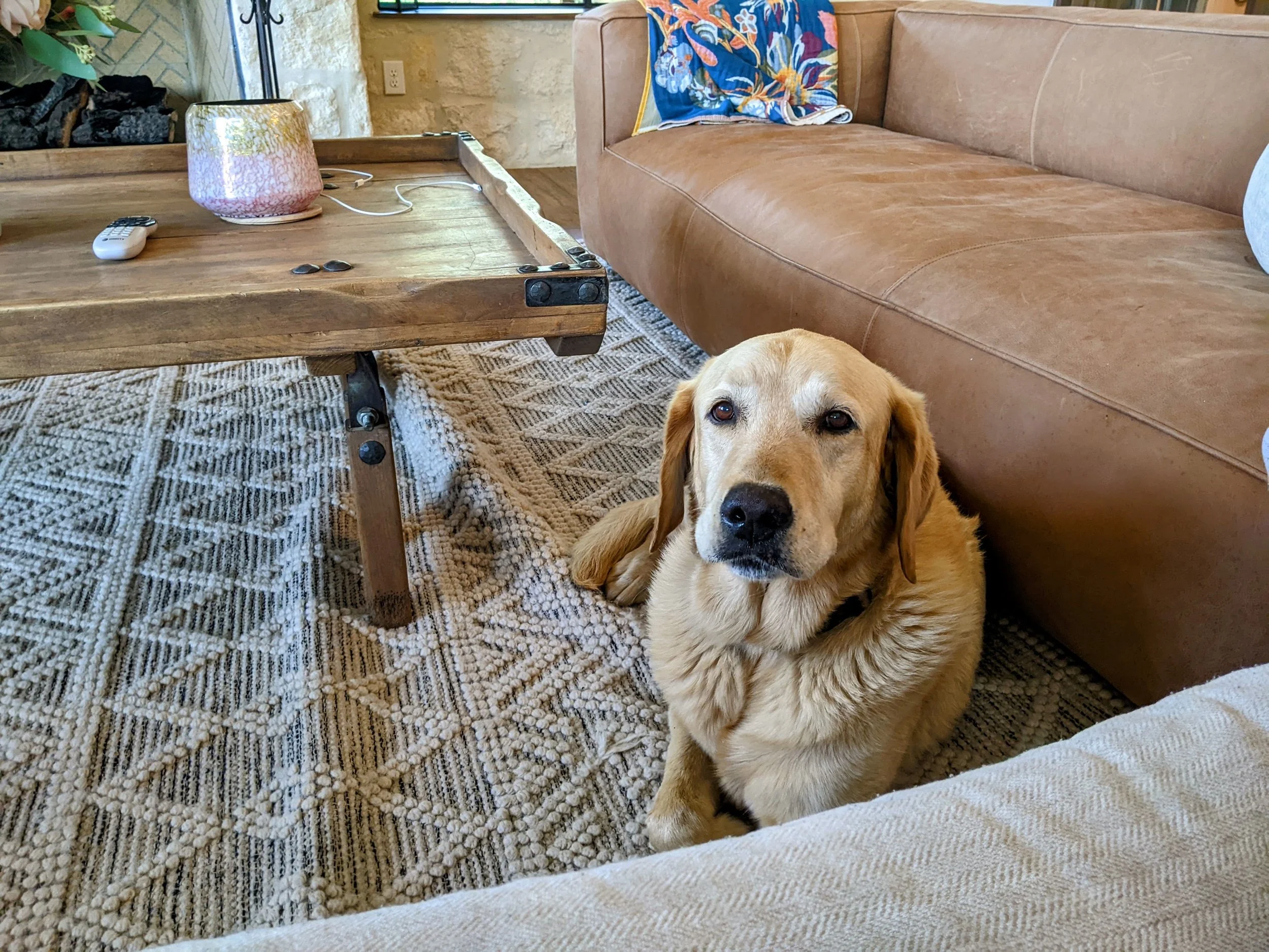 BooneLivingRoomCouch.jpg