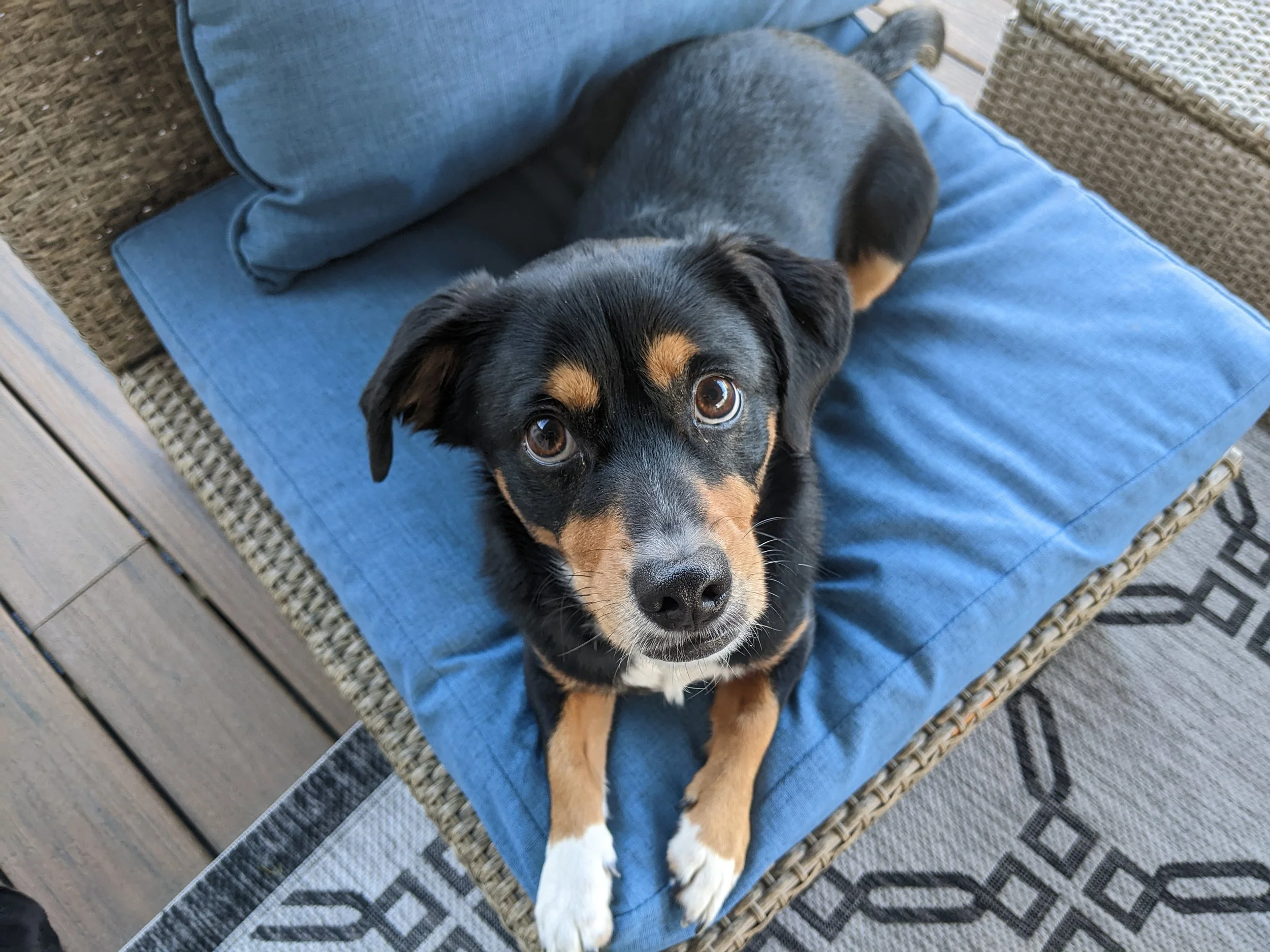 CharlieBluePorchFurniture.jpg