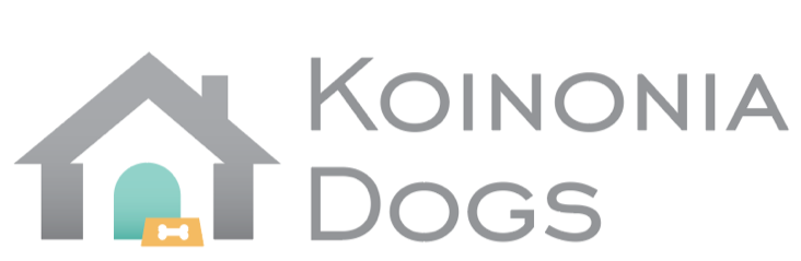Dog &amp; Puppy Training