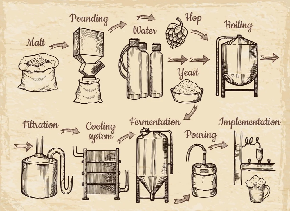 beer-production-steps-hand-drawn-pictures-of-vector-21756532.jpg