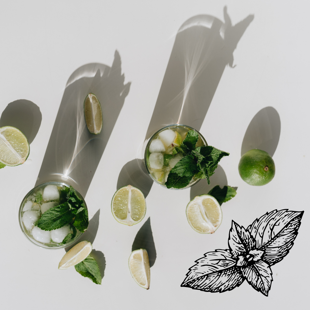 The Magic Behind Mojito Mixology