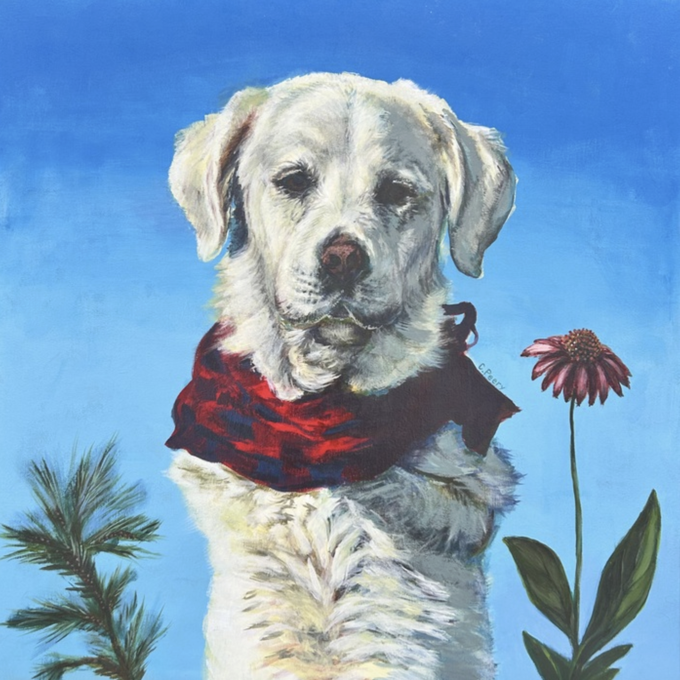 Claire Peery - Pyrenees in the Rockies.png