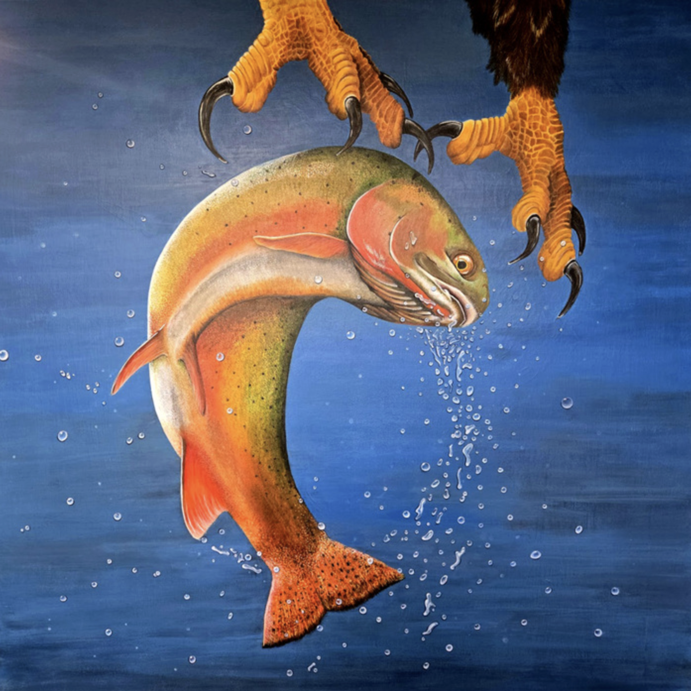 Lori Blasch - Fly Fishing.png