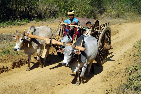 Burma07.jpg
