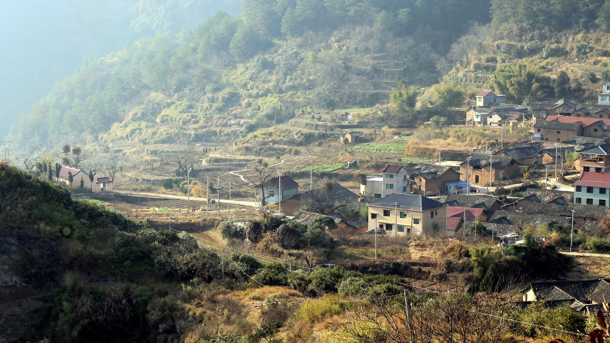 China Rural Population Columbia Political Review