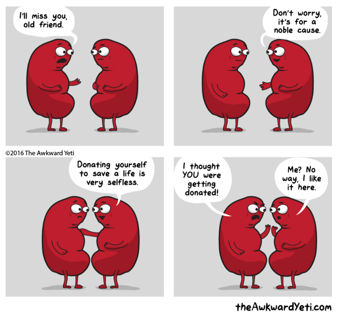 I love Awkward Yeti drawings! Please go to their website to view more great comics!