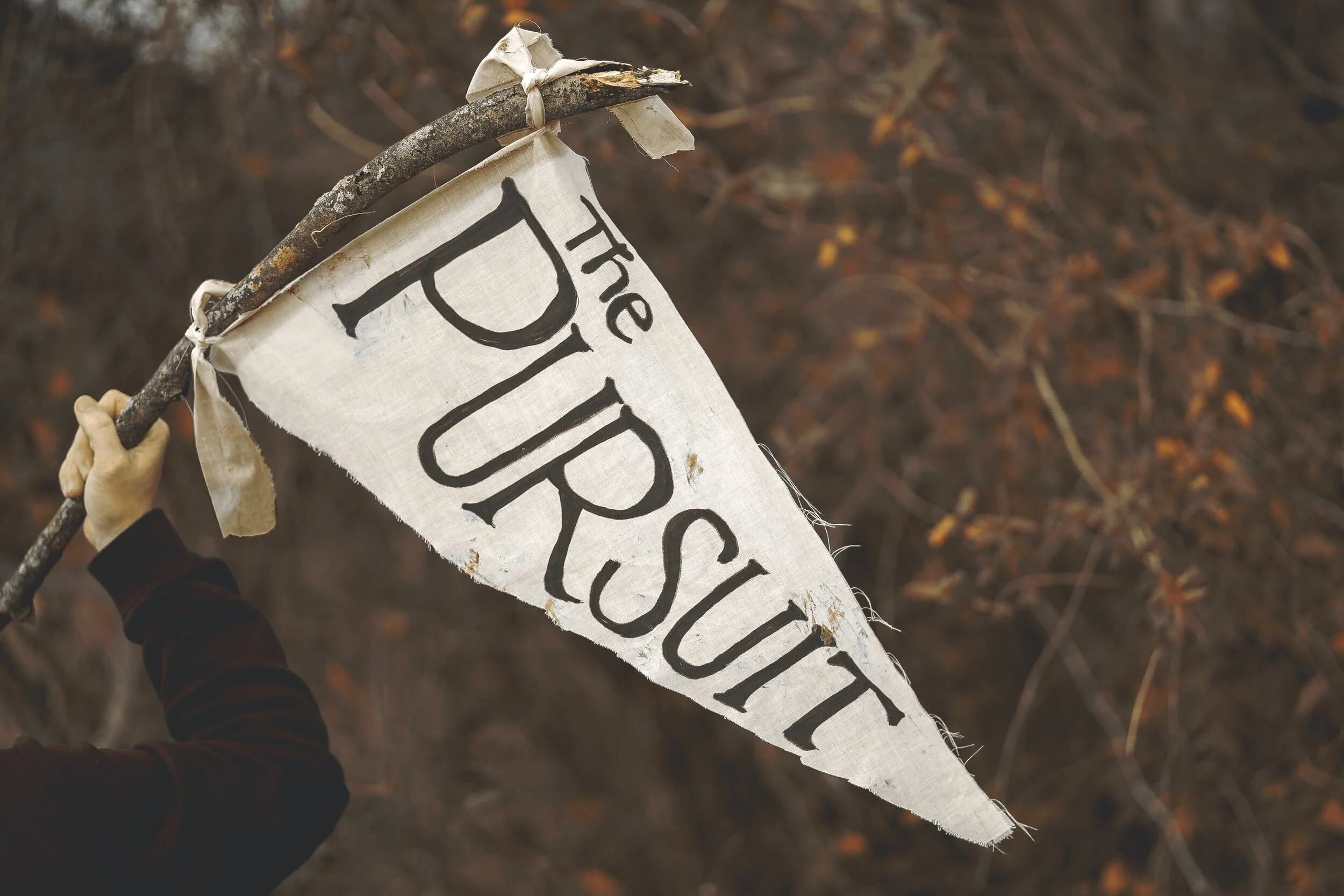 When the Pursuit of Purpose is Overrated