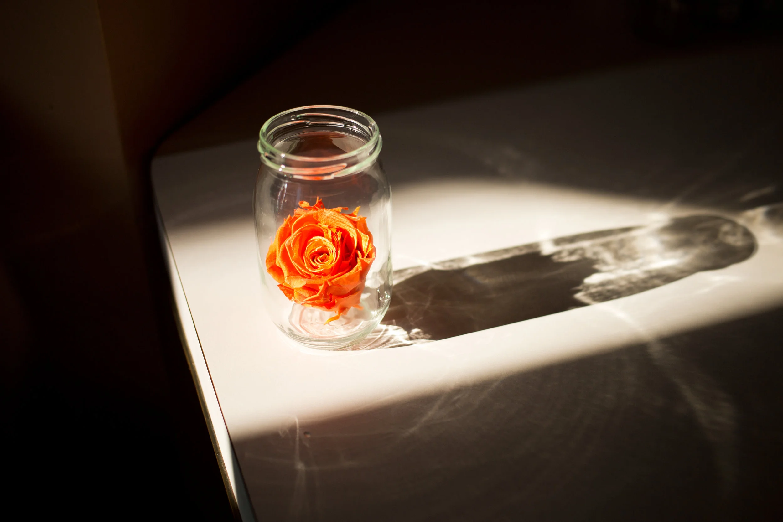 Rose Water