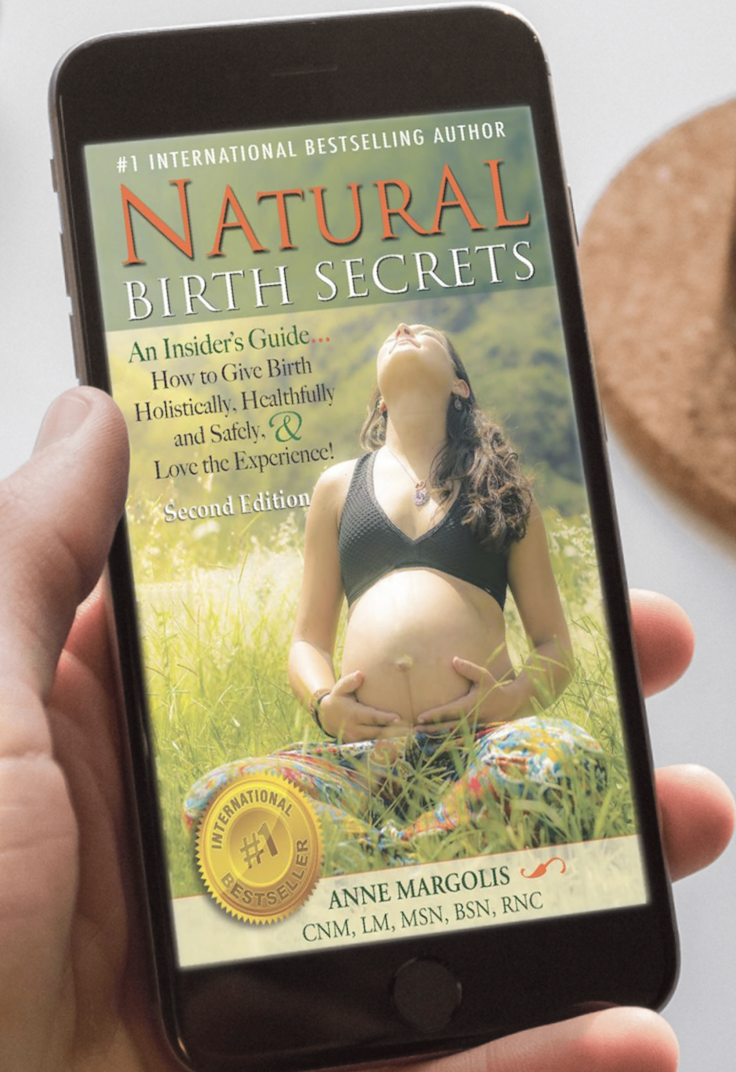 Natural Birth Secrets: An Insider's Guide...How to Give Birth Holistically, Healthfully and Safely, &amp; Love the Experience! 2nd edition eBook