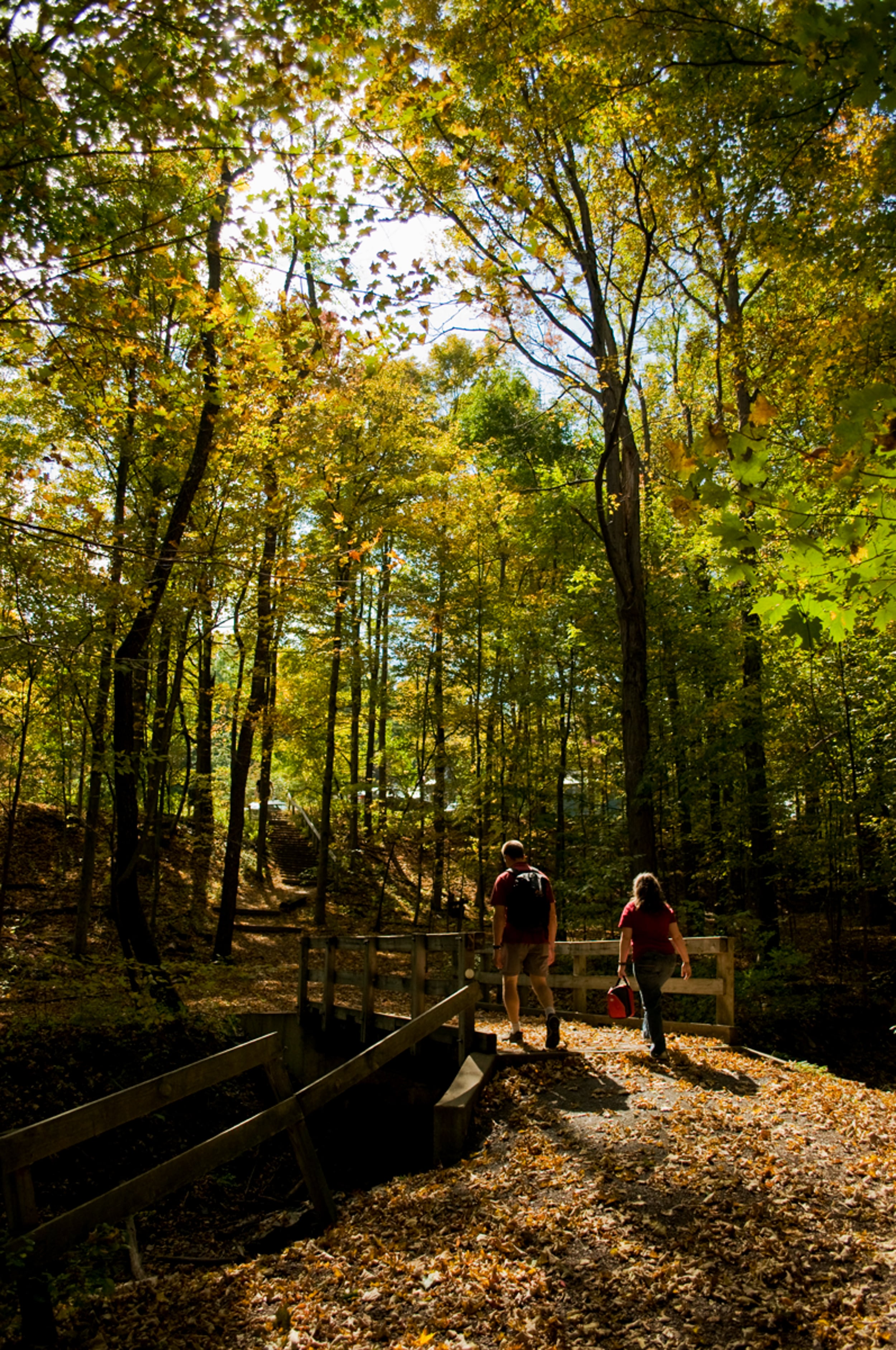 Cayuga Nature Center