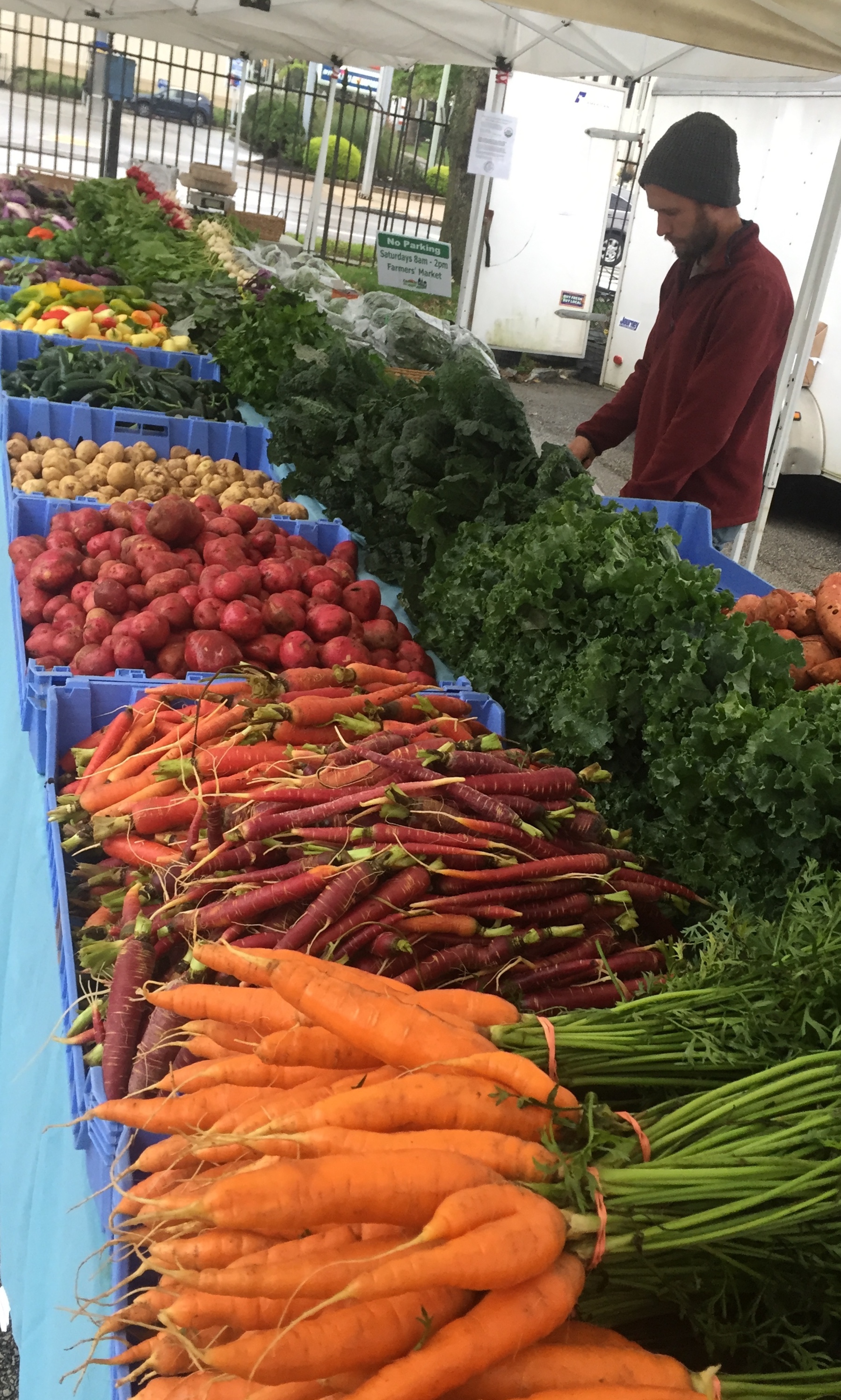 Bryn Mawr Farmers Market — Two Gander Farm