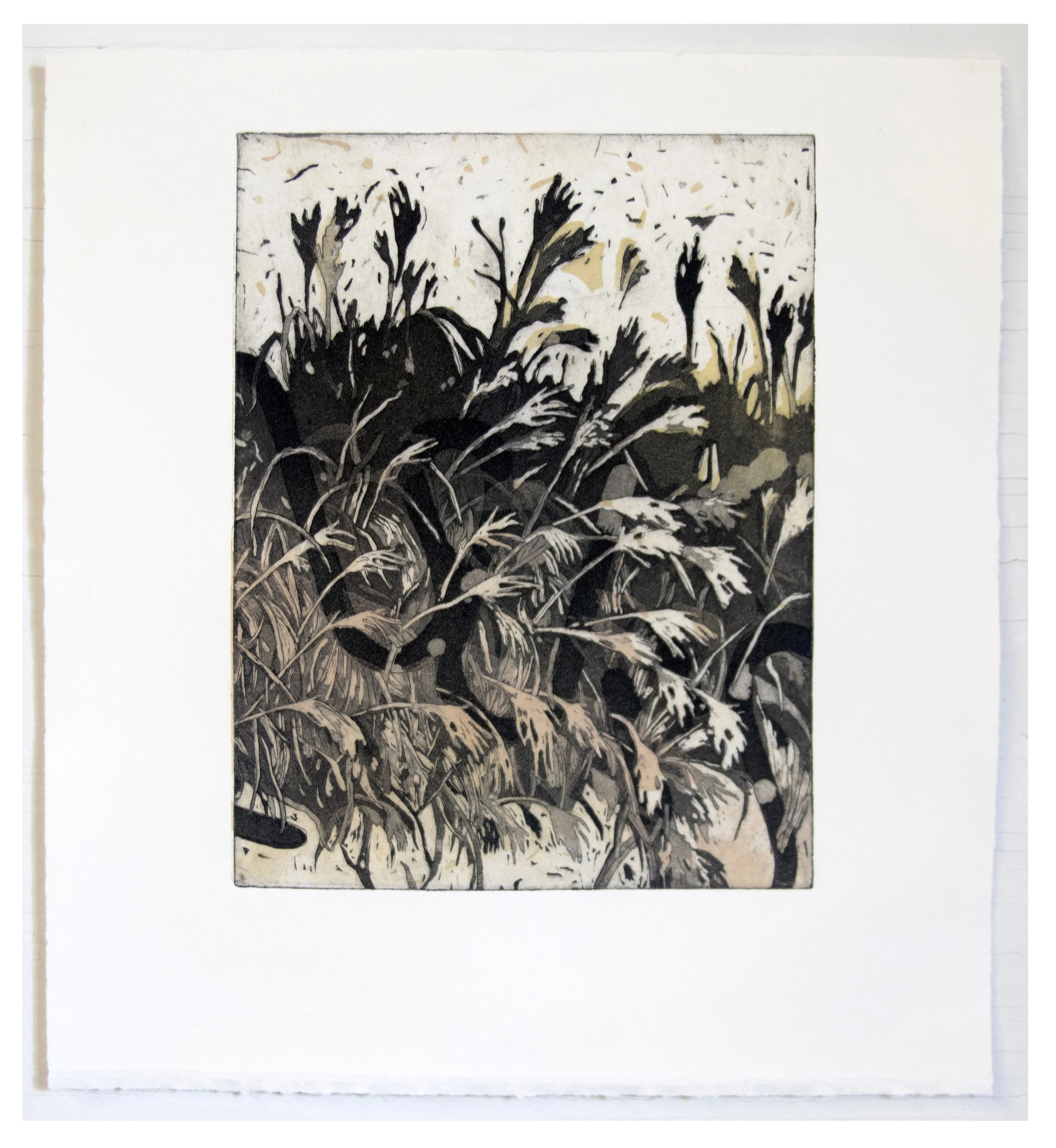 Bran. N. Grain ; Intaglio and Screen-print, 11''x14'', 2017