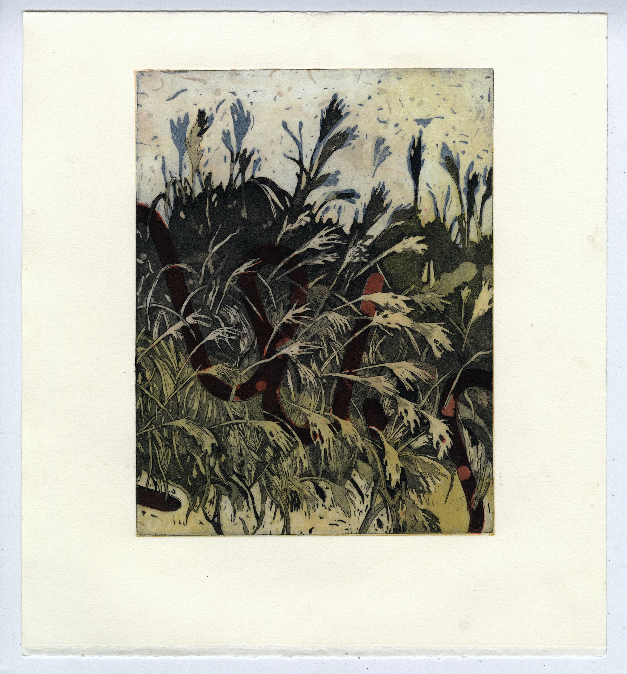 Harvest ; Intaglio and Screen-print, 10''x14'', 2017