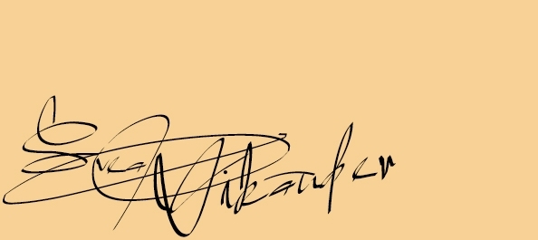 Svea Vikander signature.jpg