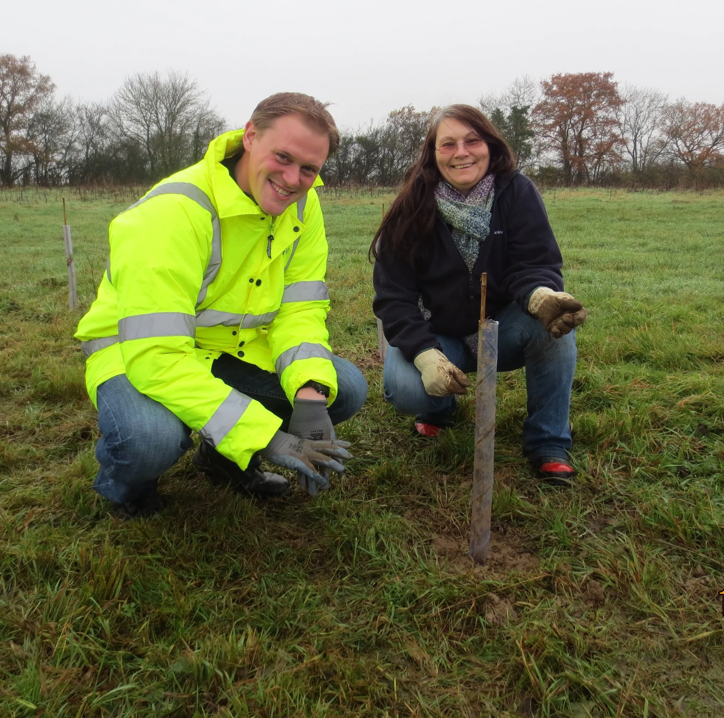 Tree planting National Grid 3.jpg