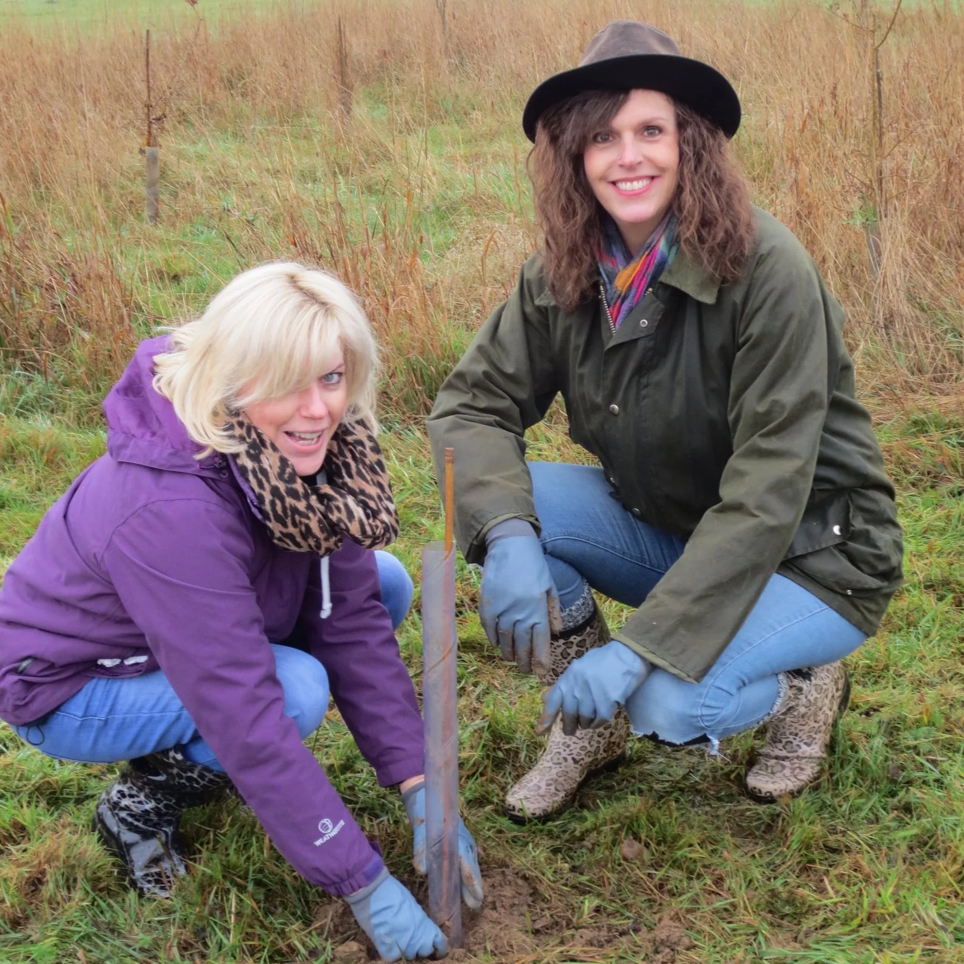 Tree planting National Grid 1.jpg