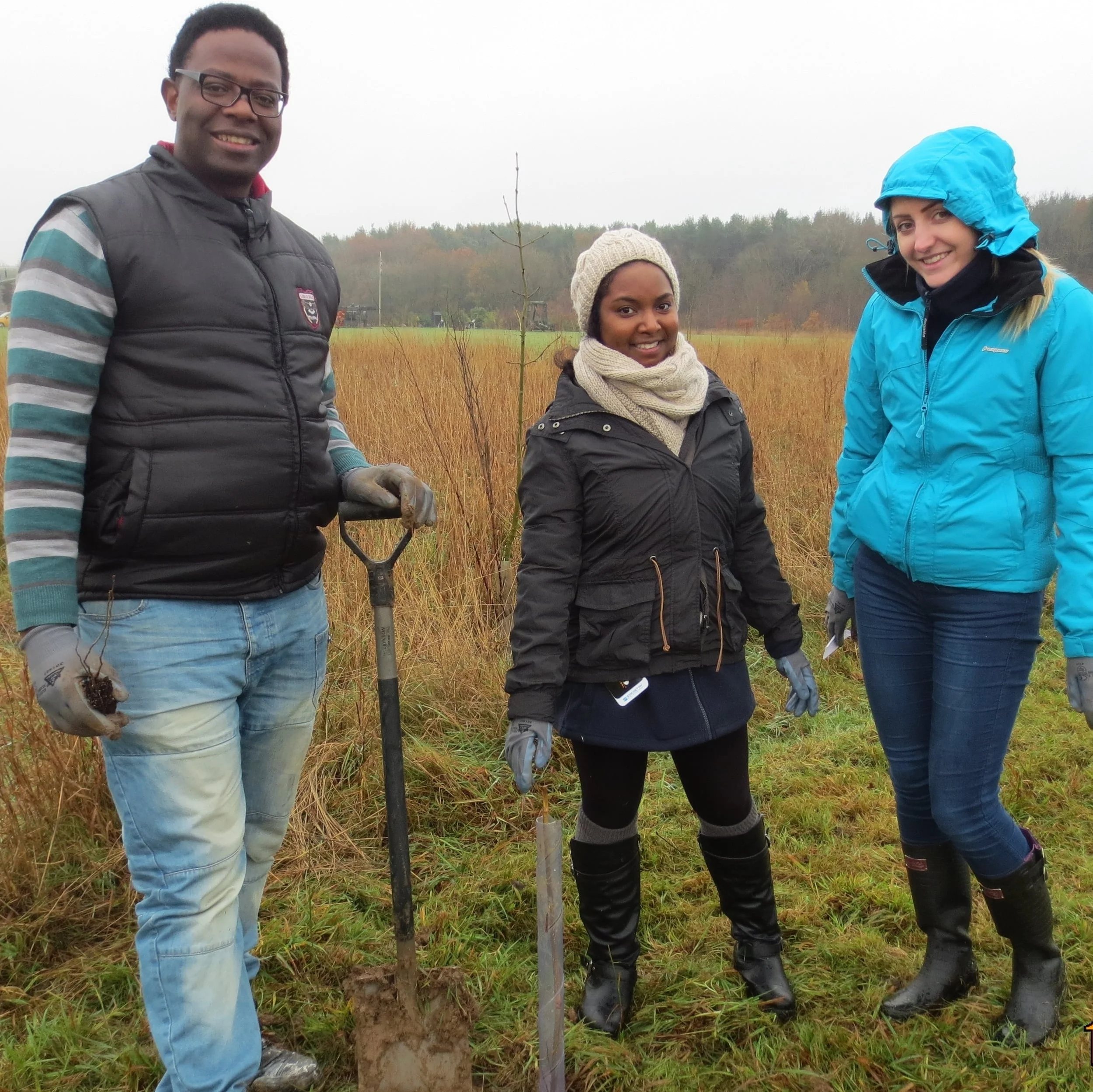 Tree planting National Grid 2.jpg