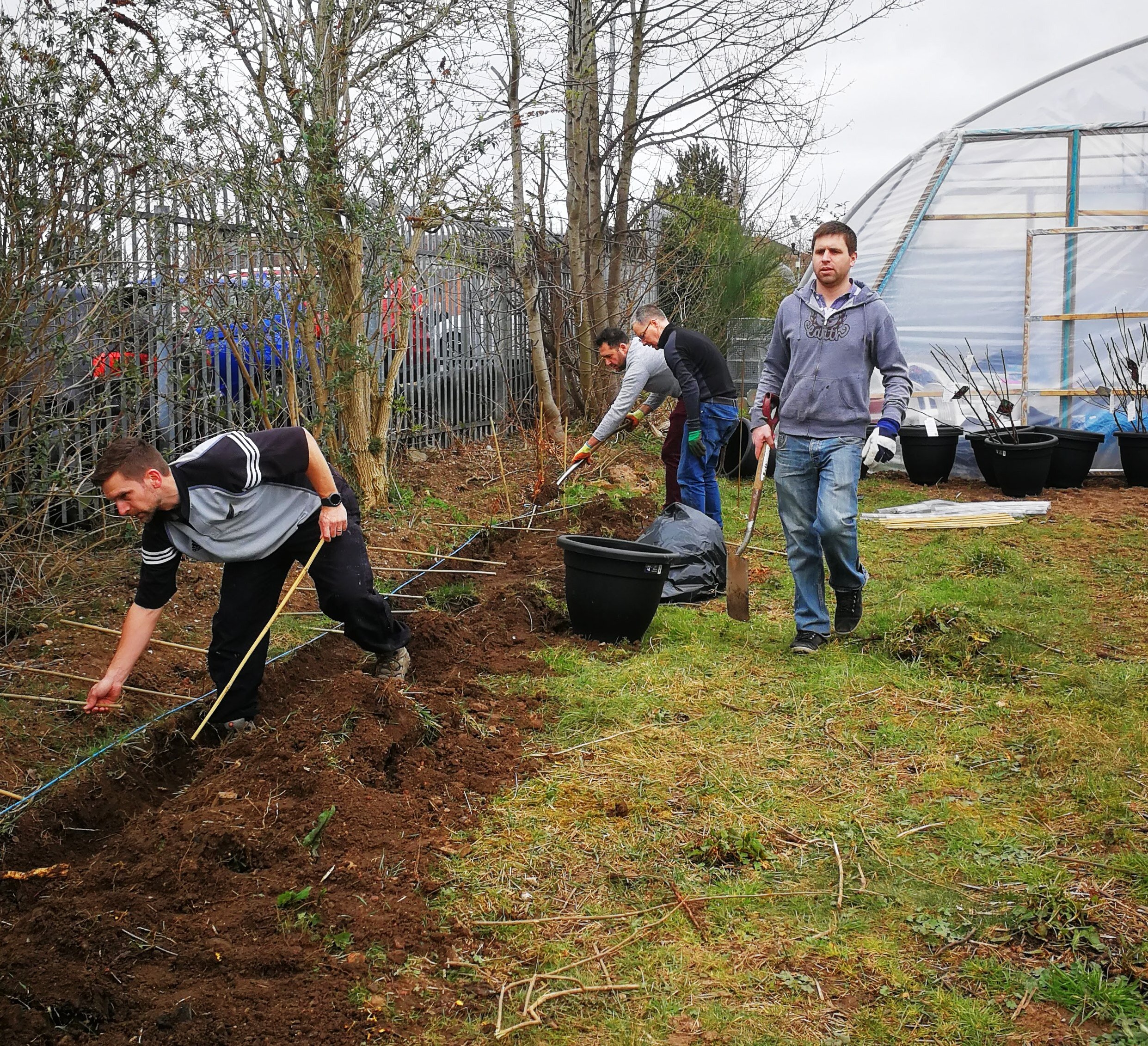Siemens and Tree Planting at Forest of Hearts 4.jpg