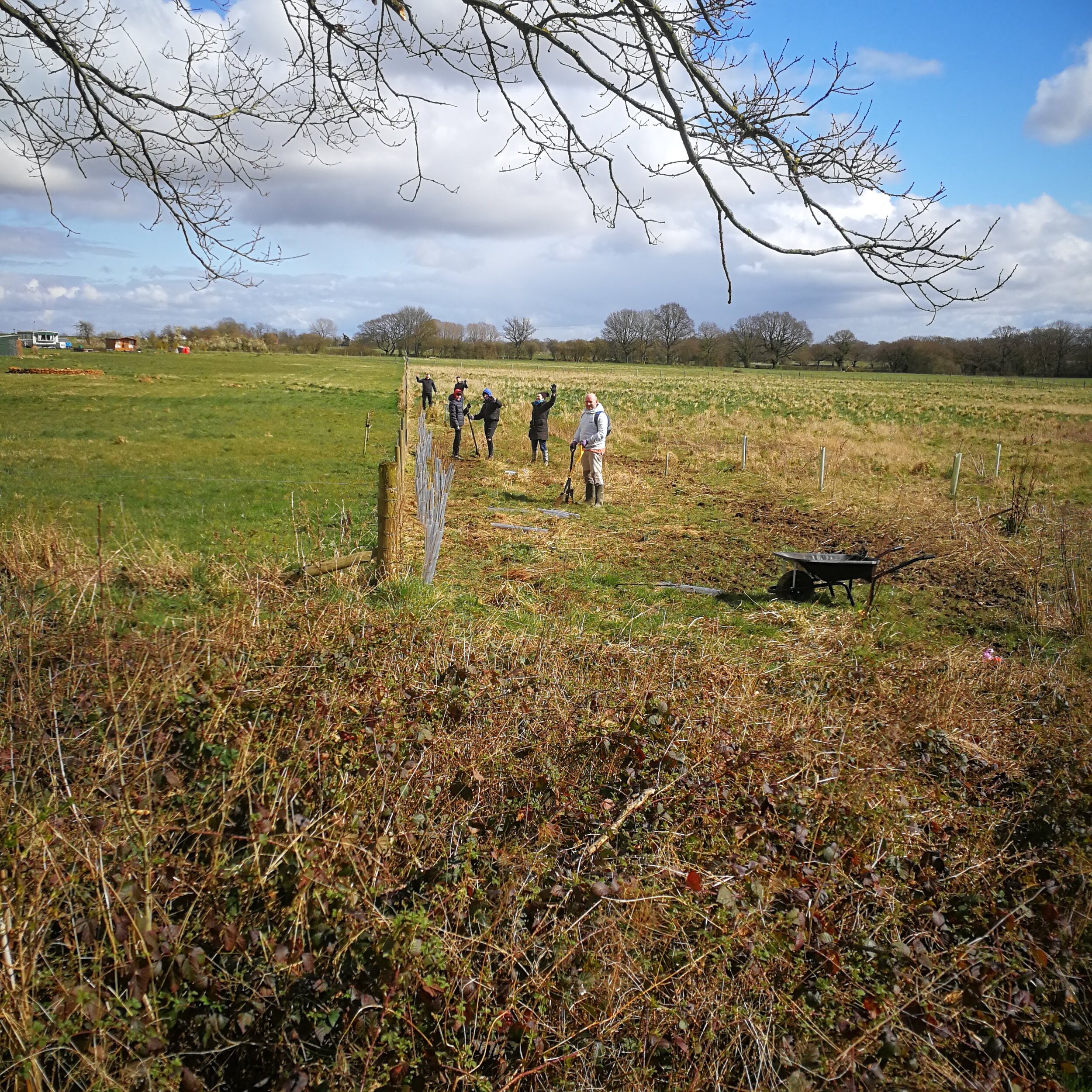 Tree planting at Barn Owl Wood 3.jpg